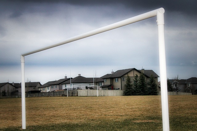 他级别球队 他级别球队