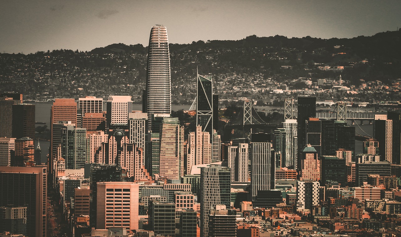 他展示的不 他展示的不