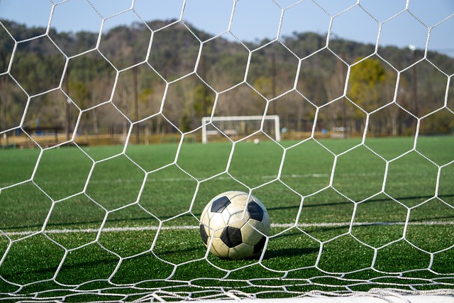 德甲和德乙 德甲和德乙